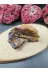 ART LİFE DOĞALTAŞ Natural Stones ART LİFE DOĞALTAŞ Natural Stones 300337 Azurit Ham Doğal Taş Kaya 3