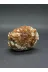 ART LİFE DOĞALTAŞ Natural Stones ART LİFE DOĞALTAŞ Natural Stones 300173 Aragonit Koleksiyonluk Doğaltaş 3