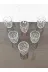 atabey home RYNBARDAKLAR 6 Adet Kristalize Model Plaza Meşrubat & Su Bardaği-Gümüş Detayli 300 Ml 10 Cm 2