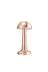 Balance Life GROUP-2565738 Mey İthalat® Modern Bronz Mantar Masa Lambası Led Dokunmatik Dekoratif Aydınlatma 2