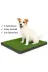 Balance Life GROUP-2580475 Mey İthalat® Pet Park Mini Yavru Köpek Tuvalet Ve Eğitim Çiti 2