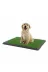 Balance Life GROUP-2580475 Mey İthalat® Pet Park Mini Yavru Köpek Tuvalet Ve Eğitim Çiti 3