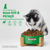 BonaCibo köp55666560 Puppy Lamb & Rice Kuzu Etli Ve Pirinçli Yavru Köpek Maması 100 Gr X 5 Adet 2