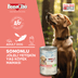 BonaCibo köp6568046165 Jöleli Somonlu Yaş Yetişkin Köpek Maması Yetişkin Köpekler Için Tam Yaş Mama 400 Gr X 6 Adet 2