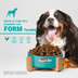 BonaCibo köp89945516 Adult Dog Form Tavuklu Yetişkin Köpek Maması  100 Gr X 5 Adet 2