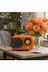 Cameron Vintage Turuncu Nostaljik Ve Dekoratif Radyo (Bt+Fm+Usb+Sd) Cm-101- 1
