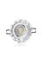 Cata CT-6595 Ct 6595 Karanfil Led Çerçeveli Spot Kasası 1