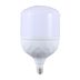CFR60W Cfr 60W Tasarruflu E27 Beyaz Renk Torch Led Ampul 1