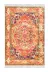 Dekoreko 1697-Trend-1 Eko Trend Djt Halı Yıkanabilir Kaymaz Taban 1697 Persian Turuncu 2