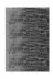 Dekoreko 1911P2-9 Kaymaz Taban Djt Banyo Halısı Star Pamuk Modern 1911 Gri 2