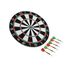 Diğer 123356898 Hnrlıshp 12Inç Dart Çok Renkli 2