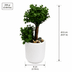 Diğer MASA SÜSÜ YAPAY AĞAÇ Beton Saksıda Yapay Bonsai Ağacı 2
