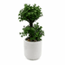 Diğer MASA SÜSÜ YAPAY AĞAÇ Beton Saksıda Yapay Bonsai Ağacı 3