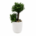 Diğer MASA SÜSÜ YAPAY AĞAÇ Beton Saksıda Yapay Bonsai Ağacı 4