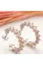 DMR Elegance DMR-GMSH-BRKD-EA11004357 Gümüş Kahverengi Taşlı Damla Çivili Kadın Küpe 1