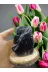 DOĞAL TAŞ CENNETİ OBSİDYENKAYA Black Obsidyen Doğal Taş Standli (Sertifikali) 4