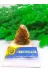 DOĞAL TAŞ CENNETİ SİTRİN06 Sitrin Doğal Taş Standli (Sertifikali)(160 Gram) 3