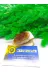 DOĞAL TAŞ CENNETİ SİTRİN16 Sitrin Doğal Taş Standli (Sertifikali)(150 Gram) 3