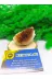 DOĞAL TAŞ CENNETİ SİTRİN19 Sitrin Doğal Taş Standli (Sertifikali)(190 Gram) 3