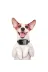 Doggie BARKTRAINBLACK Havlama Önleyici Eğitim Tasması Siyah 2