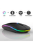Dvip Bj 189 Siyah Kablosuz Bluetooth Mouse 2