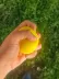 El Bilek Güçlendirme Topu Medium 3