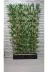 ERHAN FLOWERS 120.200 120 Cm Saksida 200 Cm 24 Adet Bambu Speratör Özel Yapım 1