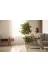 ERHAN FLOWERS bnj-140-190 Yapay Çiçek Nergiz Saksıda Benjamin Salon Ev Ağacı Yeşil Bitkisi Bambu Gövdeli Dolgun 125-85 Cm 1