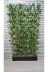 ERHAN FLOWERS ÇİÇEK & DEKORASYON ozel.1 350 Cm Saksıda 180 Cm  Bambu Speratör 3