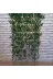 ERHAN FLOWERS ÇİÇEK & DEKORASYON ozel.1 350 Cm Saksıda 180 Cm  Bambu Speratör 4
