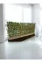 ERHAN FLOWERS ÇİÇEK & DEKORASYON spt.320.bmb 320 Cm Saksıda  170 Cm Bambu Sperator 2