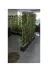 ERHAN FLOWERS ÇİÇEK & DEKORASYON spt.320.bmb 320 Cm Saksıda  170 Cm Bambu Sperator 4