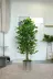 ERHAN FLOWERS ÇİÇEK & DEKORASYON ypy.agç.00173 Yapay 150Cm Benjamın Yogun Yaprak Metal  Saksı 2