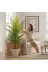 ERHAN FLOWERS ERH-A-1256 Yapay Areka Palmiyesi Beyaz Plastik Saksı 200 Cm 1