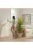 ERHAN FLOWERS ERH-A-1256 Yapay Areka Palmiyesi Beyaz Plastik Saksı 200 Cm 4