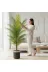 ERHAN FLOWERS ERH-A-1259 Yapay Areka Palmiyesi Siyah Gümüş Saksı 160 Cm 1