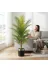 ERHAN FLOWERS ERH-A-1259 Yapay Areka Palmiyesi Siyah Gümüş Saksı 160 Cm 3