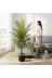 ERHAN FLOWERS ERH-A-1259 Yapay Areka Palmiyesi Siyah Gümüş Saksı 160 Cm 4