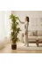 ERHAN FLOWERS ERH-A-1261 Yapay Dracaena 180 Cm - 3 Gövdeli Zebra Desenli Yapay Ağaç Siyah Gümüş Saksı 3