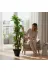 ERHAN FLOWERS ERH-A-1261 Yapay Dracaena 180 Cm - 3 Gövdeli Zebra Desenli Yapay Ağaç Siyah Plastik Saksı 4