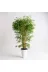 ERHAN FLOWERS ERH-B-1222 -Extra Yoğun Yapraklı Salon Bitkisi Yapay Bambu Ağacı 150 Cm 1