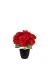 ERHAN FLOWERS ERH-C-MB-1005 Siyah Plsatik Vazoda Yapay Ortanca Aranjmanı - 45 Cm Kırmızı Ortanca 3