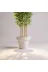 ERHAN FLOWERS erh.1723 Yapay Bambu Ağaç 190 Cm 6 Dallı Yogun Yaprak Beyaz Plastik Saksı 3