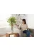 ERHAN FLOWERS erh.2117 Yapay Salon Çiçegi Yapay Ağaç 130 Cm 2 Gövdeli Beyaz Plastik Saksi 4