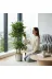 ERHAN FLOWERS mtl-130-180 Yapay Çiçek Metal Saksıda Benjamin Salon Balkon Ev Ağacı Yeşil Bitkisi Bambu Gövdeli 170-130 Cm 3