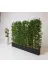 ERHAN FLOWERS spt.240.200 240 Cm Saksıda 200 Cm 36 Adet Bambulu Sperator 3