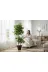 ERHAN FLOWERS ypy.100.bnj Yapay Çiçek Siyah Saksıda Benjamin Salon Balkon Ev Ağacı Yeşil Bitkisi Bambu Gövdeli Dolgun 165 Cm 1