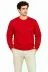 Erkek Bisiklet Yaka İçi Şardonlu 2 İplik Düz Uzun Kollu Regular Fit Sweatshirt - Kırmızı - L - Kırmızı 3