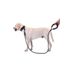 ETT 562741416465 Reflektörlü Köpek Tasması 130 Cm. 2