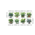 ETT 562741420251 Tropikal Bitkiler Duvar Stickerı Model A 1